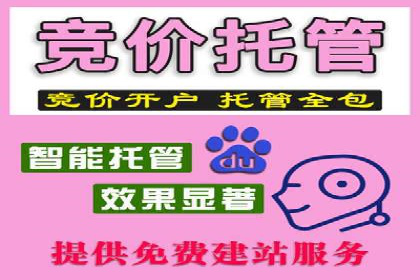 成功案例：网络推广竞价在汽车行业的运用